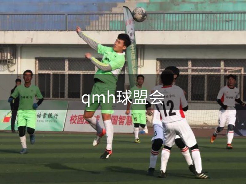 企业使命